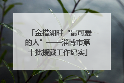 金措湖畔“最可爱的人”——淄博市第十批援藏工作纪实