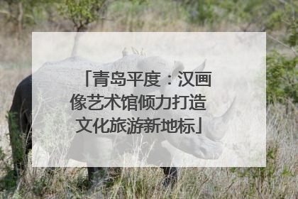 青岛平度：汉画像艺术馆倾力打造文化旅游新地标