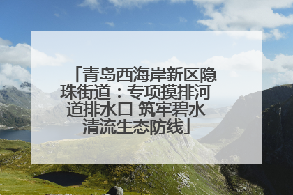 青岛西海岸新区隐珠街道：专项摸排河道排水口 筑牢碧水清流生态防线