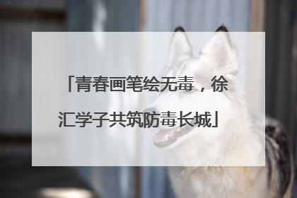 青春画笔绘无毒，徐汇学子共筑防毒长城