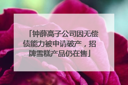 钟薛高子公司因无偿债能力被申请破产，招牌雪糕产品仍在售
