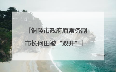 铜陵市政府原常务副市长何田被“双开”