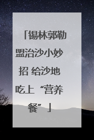 锡林郭勒盟治沙小妙招 给沙地吃上“营养餐”