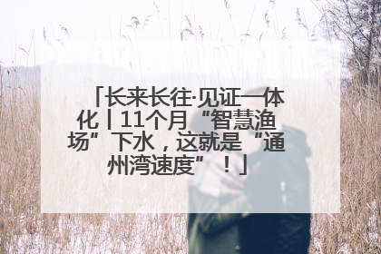 长来长往·见证一体化丨11个月“智慧渔场”下水，这就是“通州湾速度”！