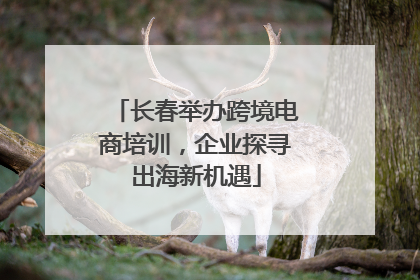 长春举办跨境电商培训，企业探寻出海新机遇