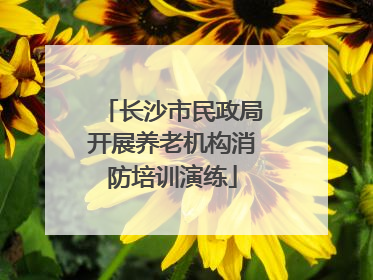 长沙市民政局开展养老机构消防培训演练