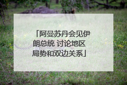 阿曼苏丹会见伊朗总统 讨论地区局势和双边关系