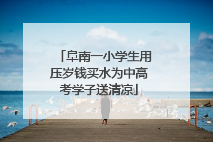 阜南一小学生用压岁钱买水为中高考学子送清凉
