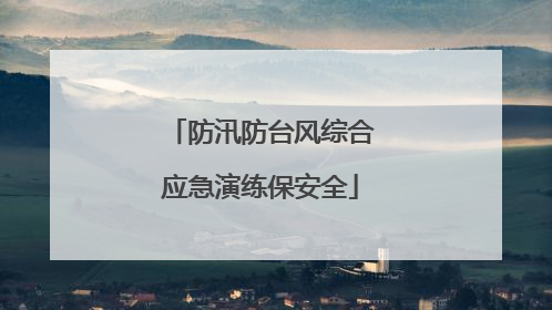 防汛防台风综合应急演练保安全