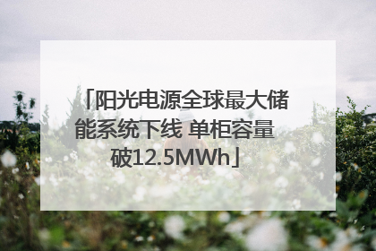 阳光电源全球最大储能系统下线 单柜容量破12.5MWh