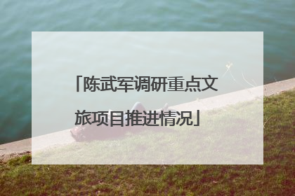 陈武军调研重点文旅项目推进情况
