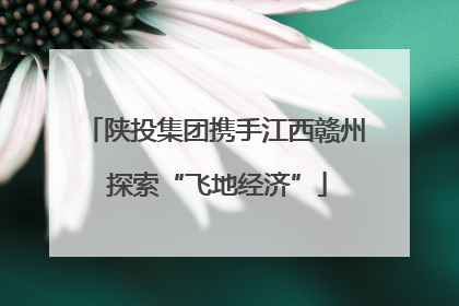陕投集团携手江西赣州 探索“飞地经济”