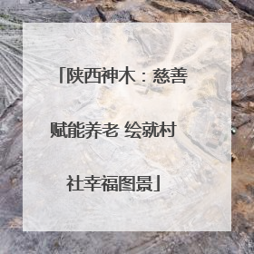 陕西神木：慈善赋能养老 绘就村社幸福图景