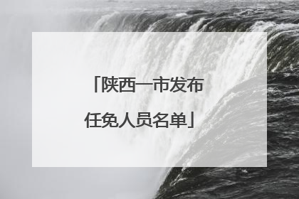 陕西一市发布任免人员名单