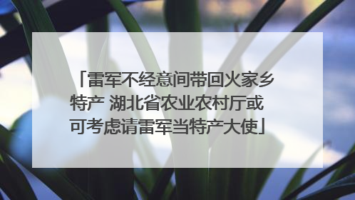 雷军不经意间带回火家乡特产 湖北省农业农村厅或可考虑请雷军当特产大使