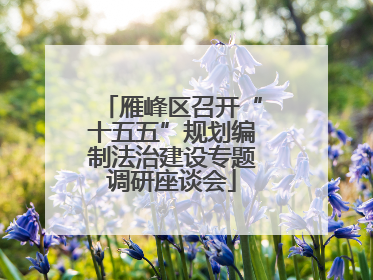 雁峰区召开“十五五”规划编制法治建设专题调研座谈会
