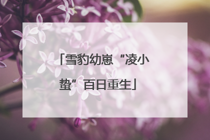 雪豹幼崽“凌小蛰”百日重生