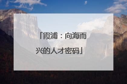 霞浦：向海而兴的人才密码