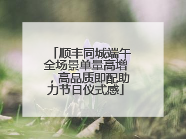 顺丰同城端午全场景单量高增，高品质即配助力节日仪式感
