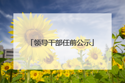 领导干部任前公示