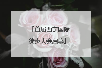 首届西宁国际徒步大会启幕