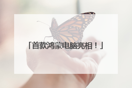 首款鸿蒙电脑亮相！