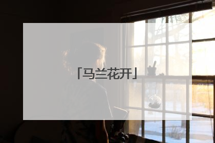 马兰花开