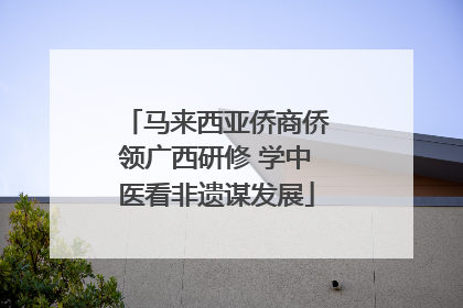 马来西亚侨商侨领广西研修 学中医看非遗谋发展