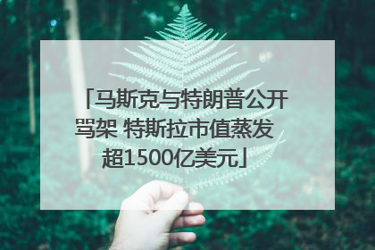 马斯克与特朗普公开骂架 特斯拉市值蒸发超1500亿美元