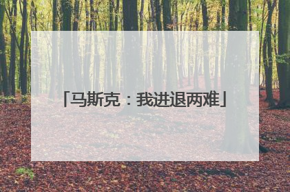 马斯克：我进退两难
