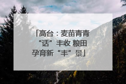 高台：麦苗青青“话”丰收 粮田孕育新“丰”景