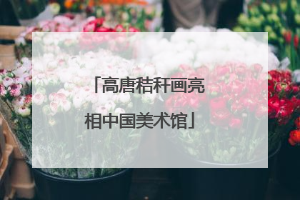 高唐秸秆画亮相中国美术馆
