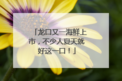 龙口又一海鲜上市，不少人夏天就好这一口！