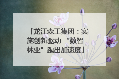 龙江森工集团：实施创新驱动 “数智林业”跑出加速度