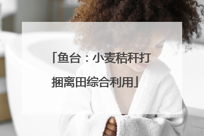 鱼台：小麦秸秆打捆离田综合利用