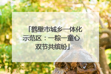 鹤壁市城乡一体化示范区：一粽一童心 双节共缤纷