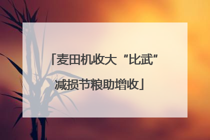 麦田机收大“比武” 减损节粮助增收