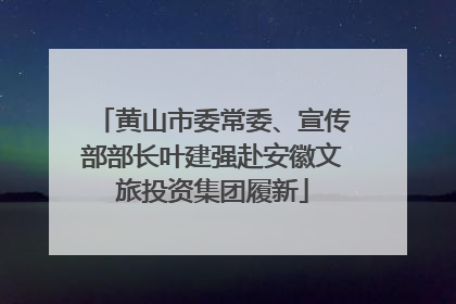 黄山市委常委、宣传部部长叶建强赴安徽文旅投资集团履新