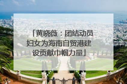 黄晓薇：团结动员妇女为海南自贸港建设贡献巾帼力量