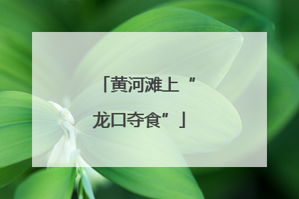黄河滩上“龙口夺食”