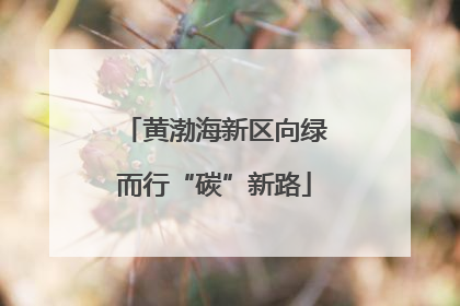 黄渤海新区向绿而行“碳”新路