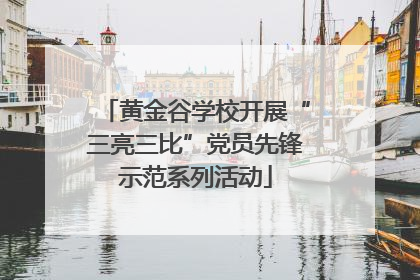 黄金谷学校开展“三亮三比”党员先锋示范系列活动