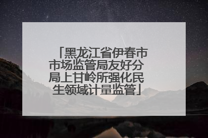 黑龙江省伊春市市场监管局友好分局上甘岭所强化民生领域计量监管
