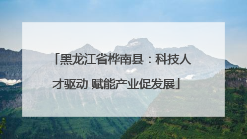 黑龙江省桦南县：科技人才驱动 赋能产业促发展