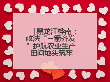 黑龙江桦南：政法“三箭齐发”护航农业生产 田间地头筑牢平安建设防线