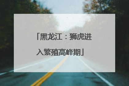 黑龙江：狮虎进入繁殖高峰期