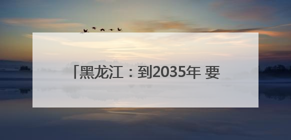 黑龙江：到2035年 要全面建成现代化绿色龙江