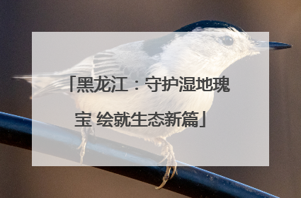 黑龙江：守护湿地瑰宝 绘就生态新篇