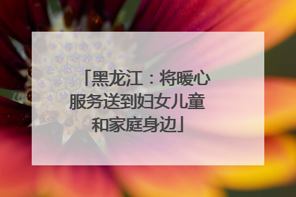 黑龙江：将暖心服务送到妇女儿童和家庭身边