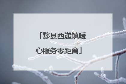 黟县西递镇暖心服务零距离